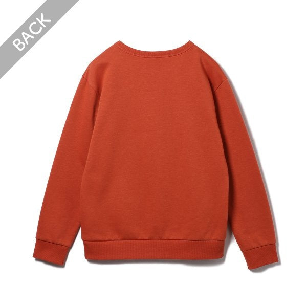 Boys' Schoolwear Brushed Sweatshirt (Winter)