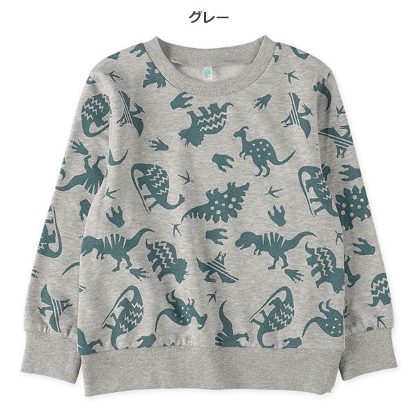Dinosaur Sweatshirt (Spring)