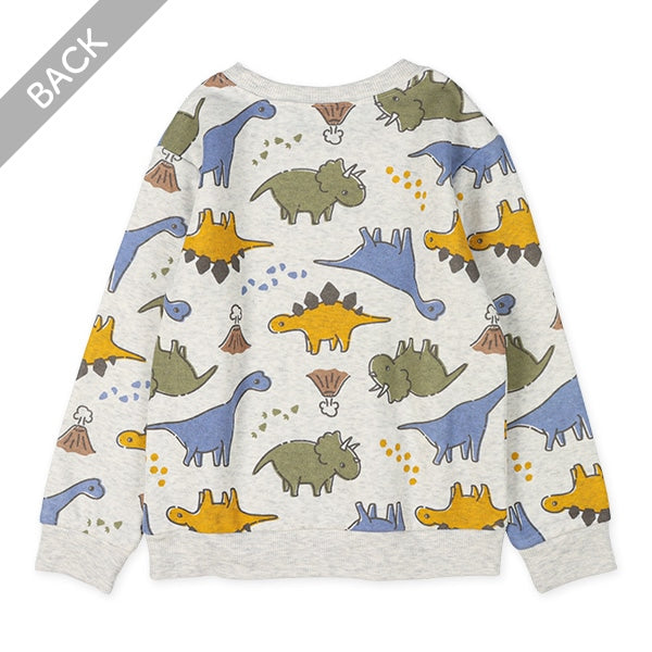 Kids' Boy Brushed Sweatshirt (Winter)