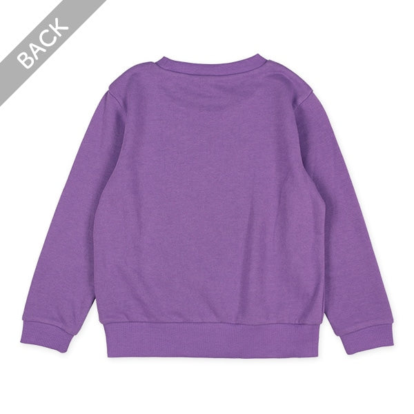 Big Dinosaur Print Sweatshirt (Winter, Spring, Autumn)