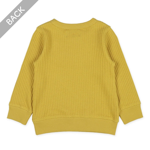 Waffle Seatshirt (Winter, Spring, Autumn)