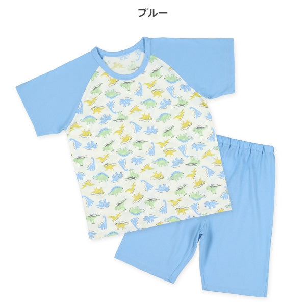 Dinosaur Short Sleeve T-shirt and Pants Set