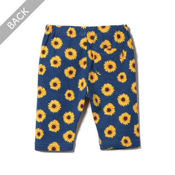 Sunflower Knit Shorts