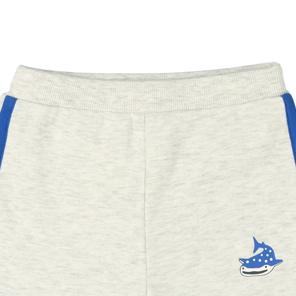 Knit Shorts