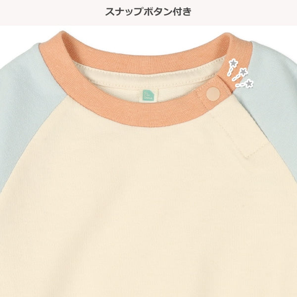Color Block Raglan Sleeve Sweatshirt (Spring)