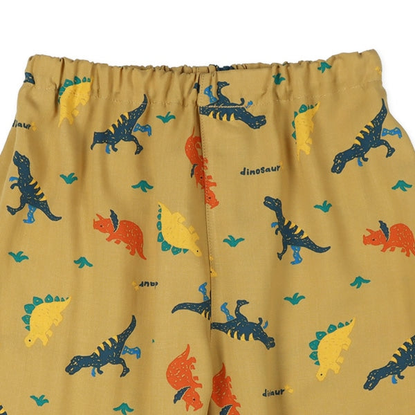 Dinosaur Short Sleeve Hoodie
