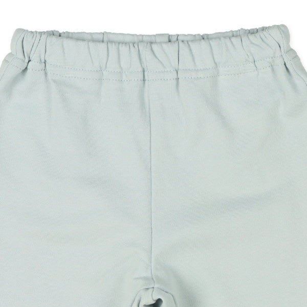 Dinosaur Pants (Spring)