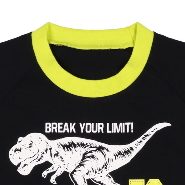 Dinosaur Short Sleeve T-shirt and Pants Set
