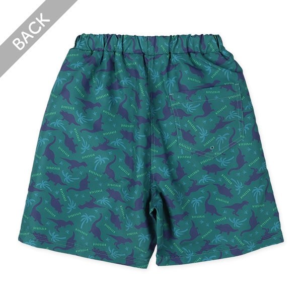 Dinosaur Swimwear
