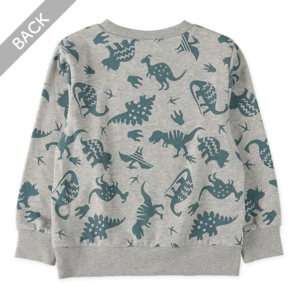 Dinosaur Sweatshirt (Spring)