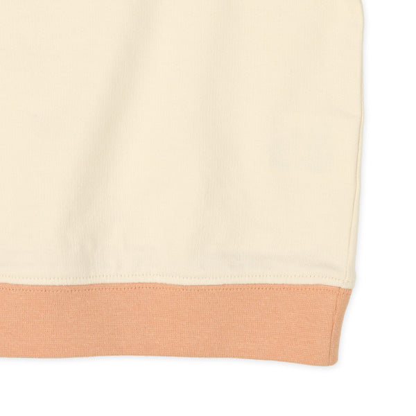 Color Block Raglan Sleeve Sweatshirt (Spring)