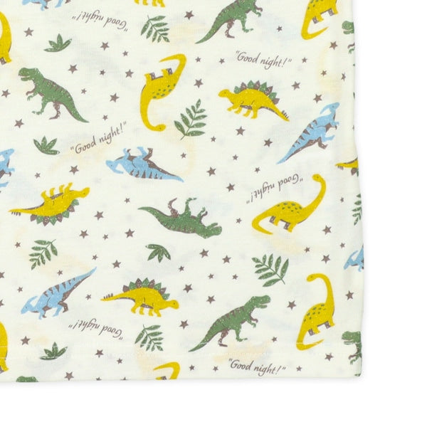 Dinosaur Short Sleeve T-shirt and Pants Set
