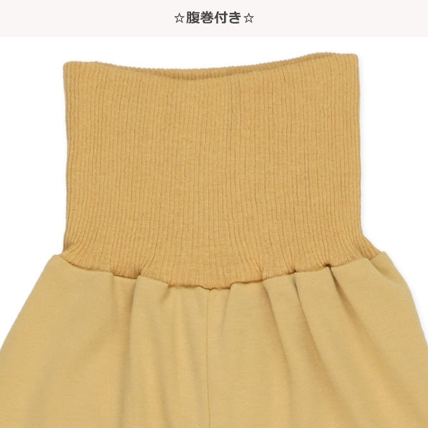 Knit PA (Autumn, Winter, Spring)