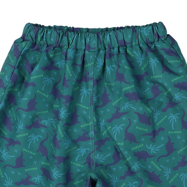 Dinosaur Swimwear