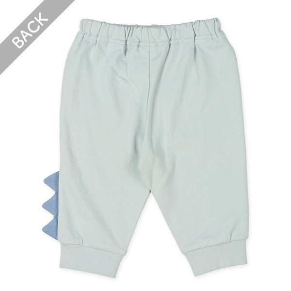 Dinosaur Pants (Spring)