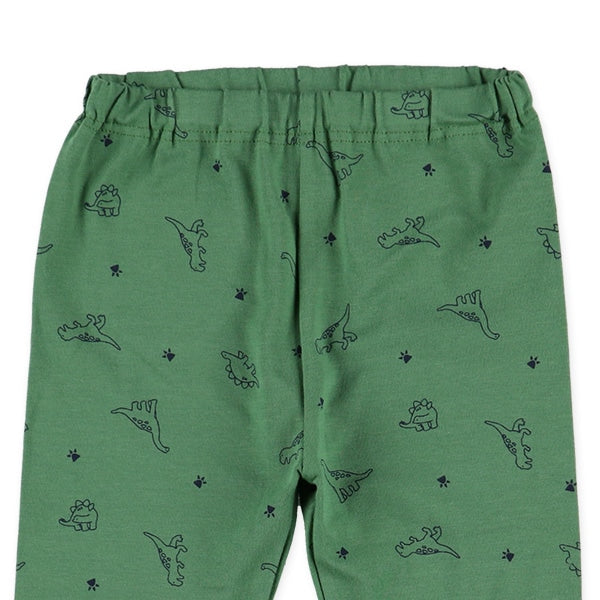 Dinosaur Print Leggings (Winter, Spring, Autumn)