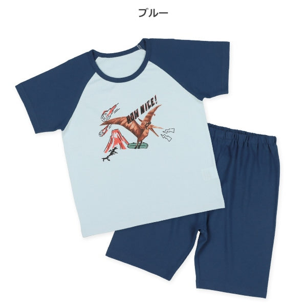 Dinosaur Short Sleeve T-shirt and Pants Set