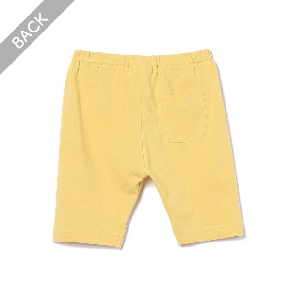 Knit Shorts