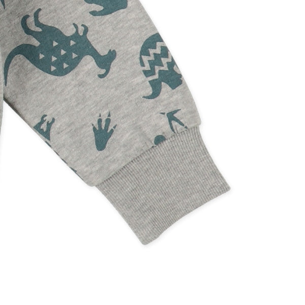 Dinosaur Sweatshirt (Spring)