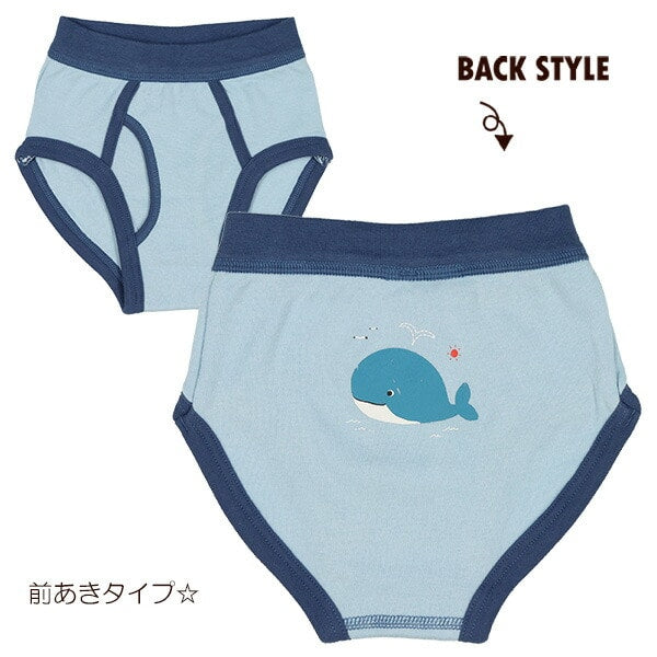 Brief