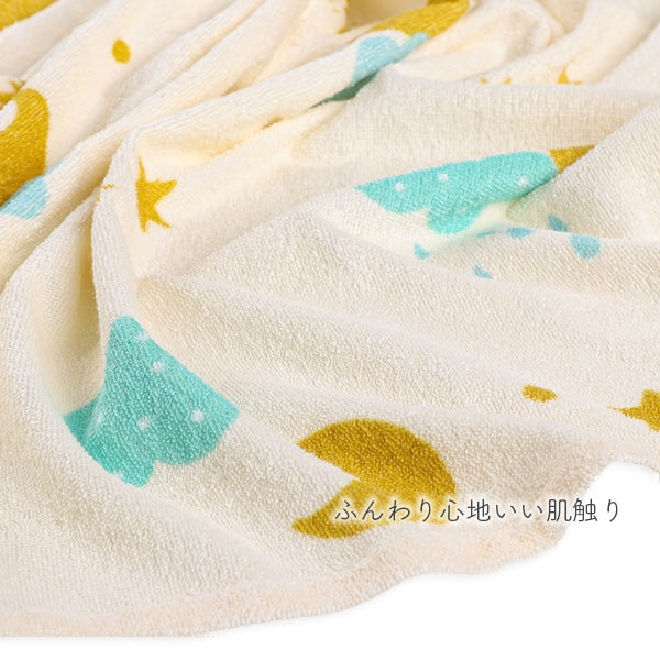 Towel Blanket