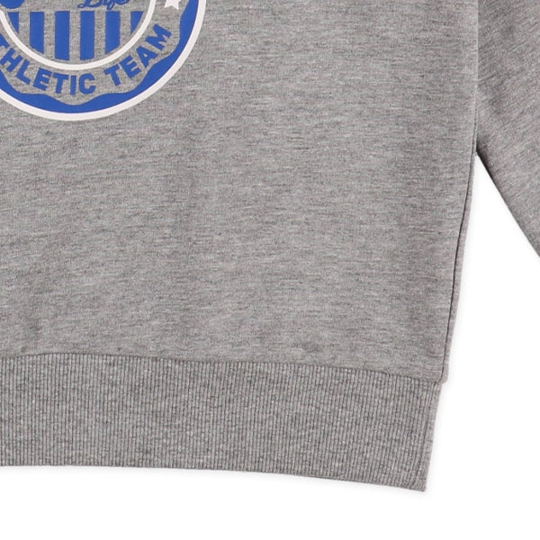 College Logo Sweatshirt (Winter, Spring, Autumn)