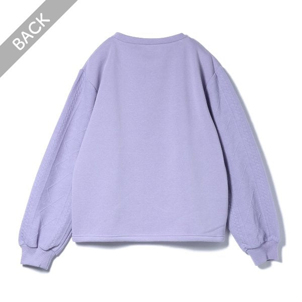 Girls' Schoolwear Brushed Sweatshirt (Winter)