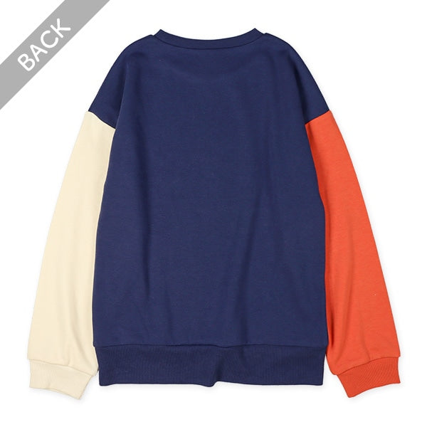 Boys' Schoolwear Brushed Sweatshirt (Winter)