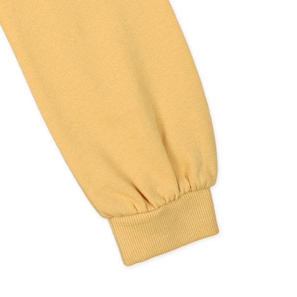 Long Sleeve Sweatshirt (Spring)