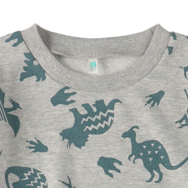 Dinosaur Sweatshirt (Spring)