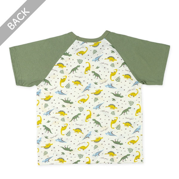 Dinosaur Short Sleeve T-shirt and Pants Set