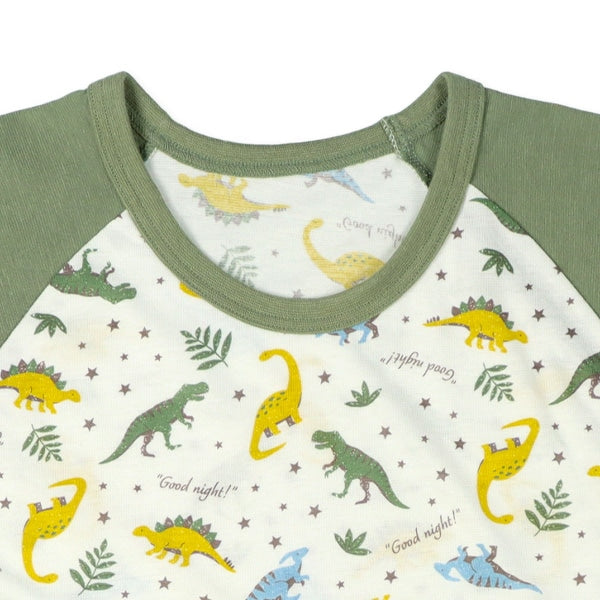 Dinosaur Short Sleeve T-shirt and Pants Set