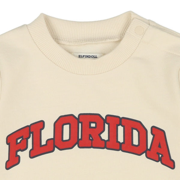 College Logo Sweatshirt (Winter, Spring, Autumn)