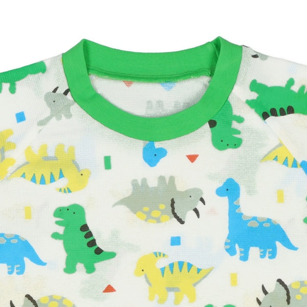 Dinosaur Short Sleeve T-shirt and Pants Set