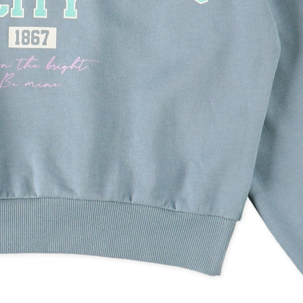 Long Sleeve Sweatshirt (Spring)