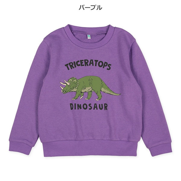 Big Dinosaur Print Sweatshirt (Winter, Spring, Autumn)