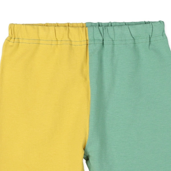 Knit Shorts