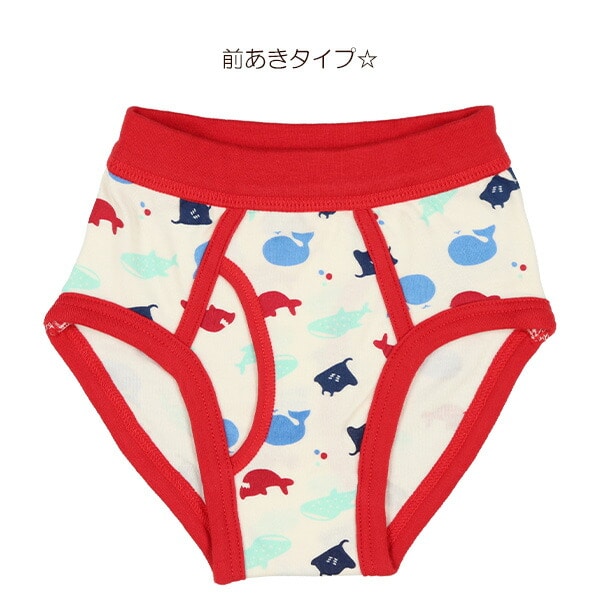 Brief