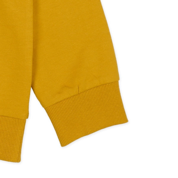 Big Logo Sweatshirt (Winter, Spring, Autumn)