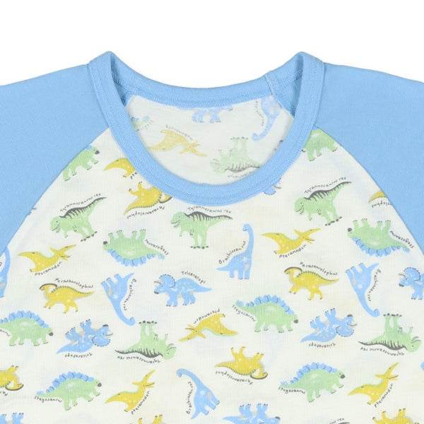 Dinosaur Short Sleeve T-shirt and Pants Set