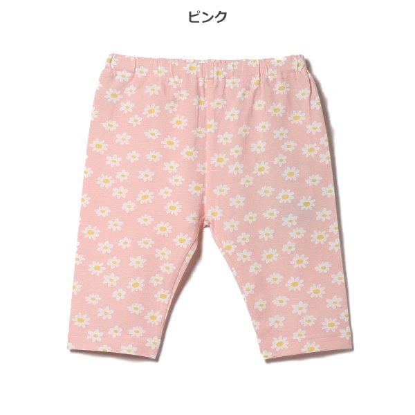 Knit Shorts