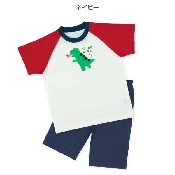 Dinosaur Short Sleeve T-shirt and Pants Set