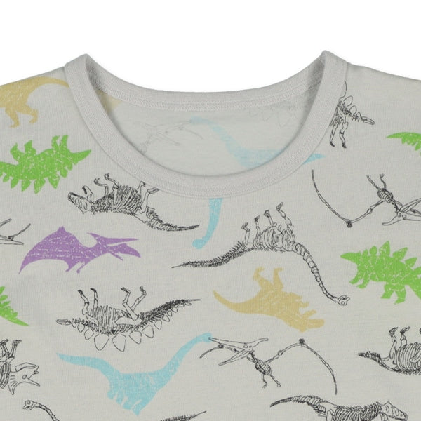 Dinosaur Short Sleeve T-shirt and Pants Set