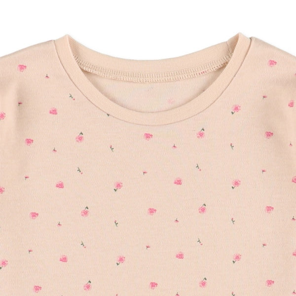 Knit PA (Autumn, Winter, Spring)