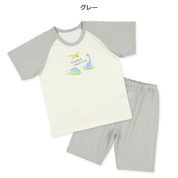 Dinosaur Short Sleeve T-shirt and Pants Set