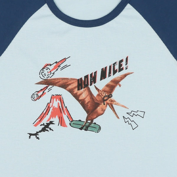 Dinosaur Short Sleeve T-shirt and Pants Set