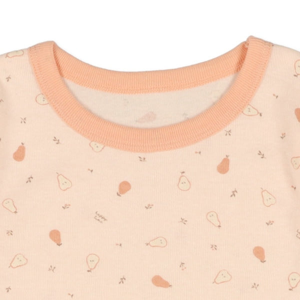 Bundle PA Autumn/Winter/Spring