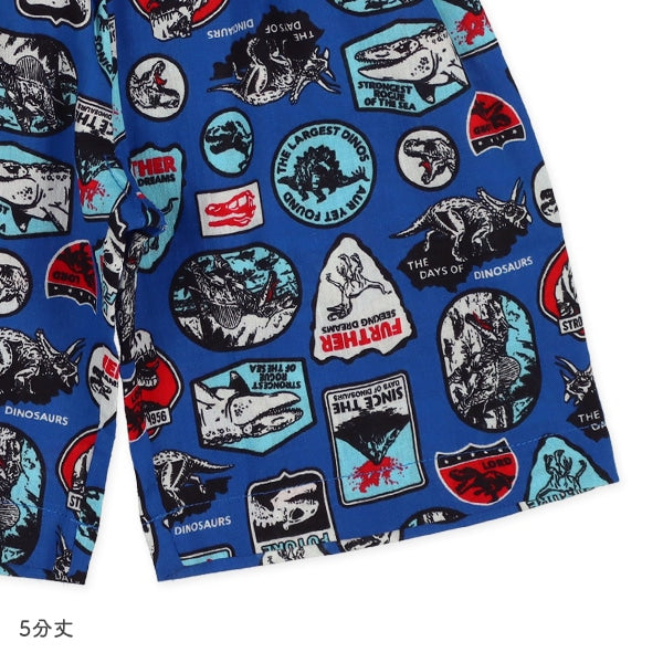 Dinosaur Short Sleeve T-shirt and High Waist Pants Set