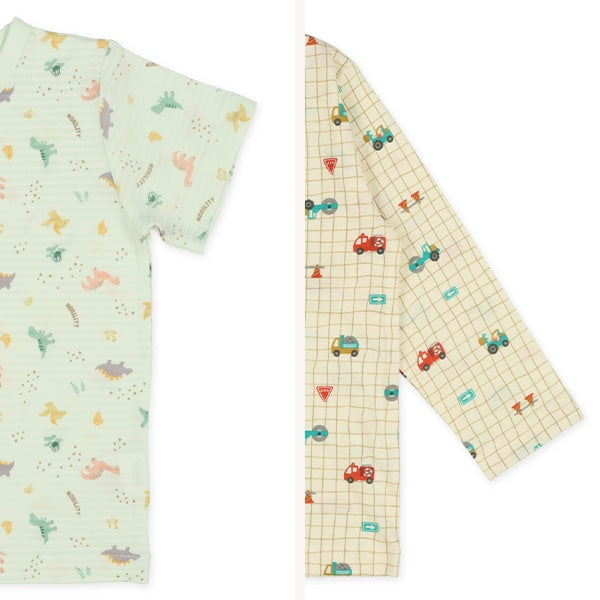Dinosaur T-shirt and Pants Set