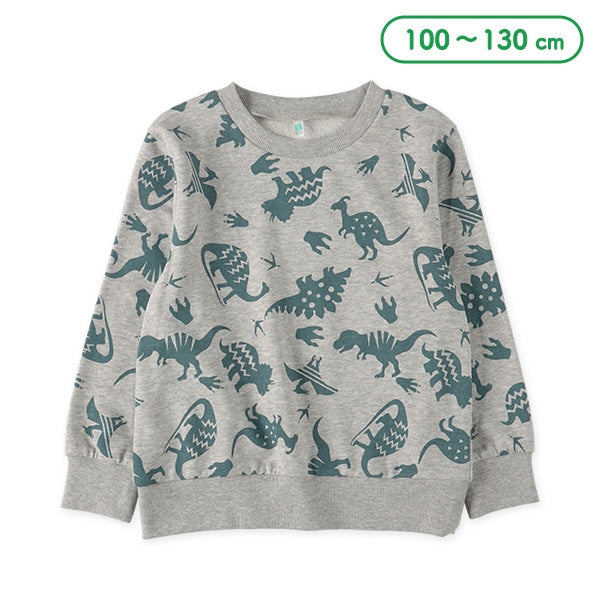 Dinosaur Sweatshirt (Spring)